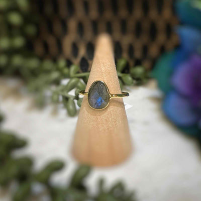 Labradorite - Faceted - 18k Gold Ring
