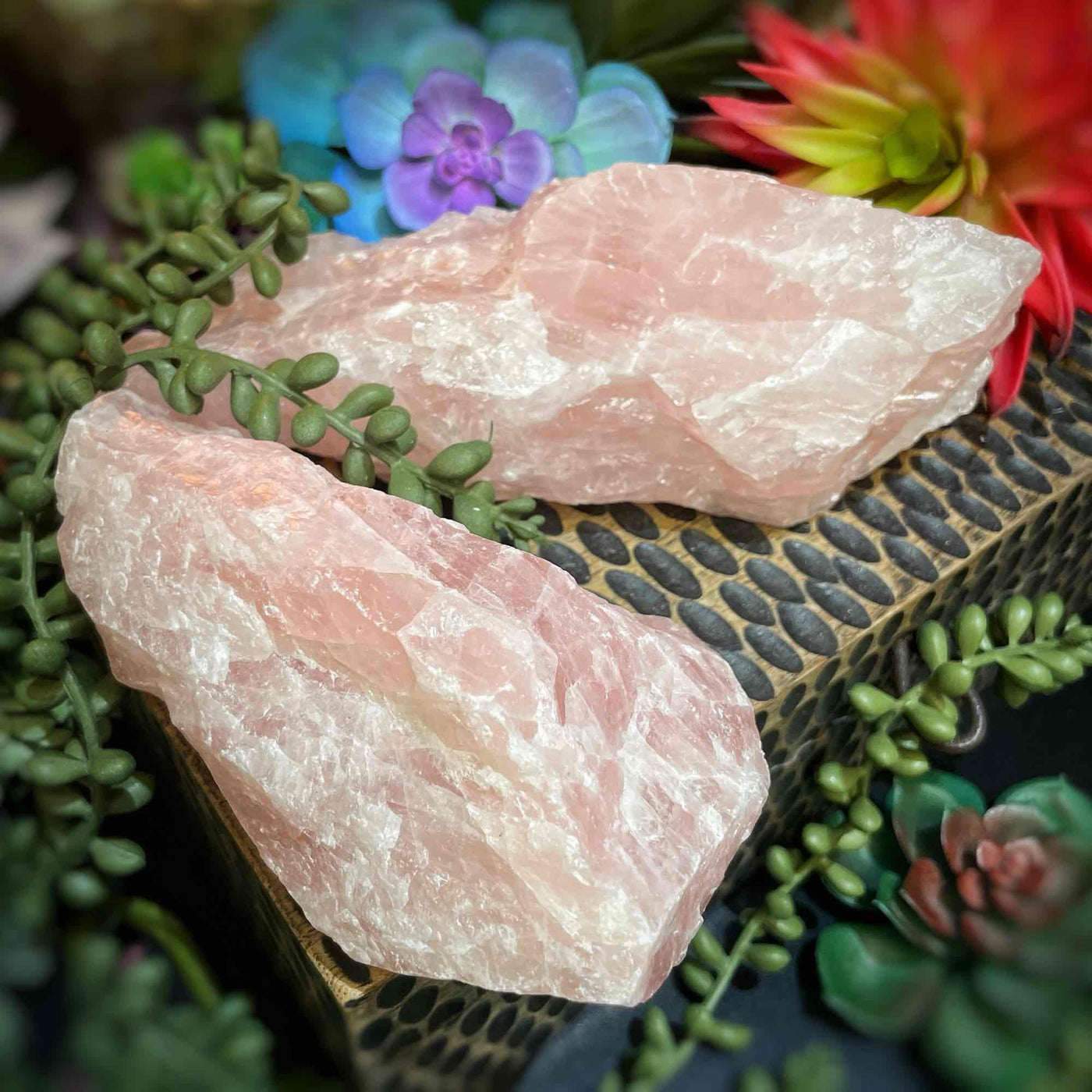 Rose Quartz - 4.0" - 6.0" - Raw
