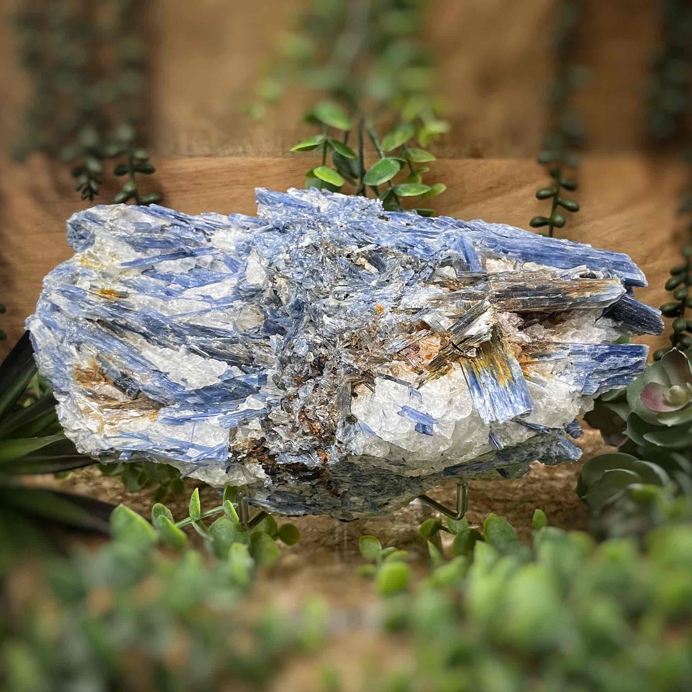 Blue Kyanite - Large Collector Piece