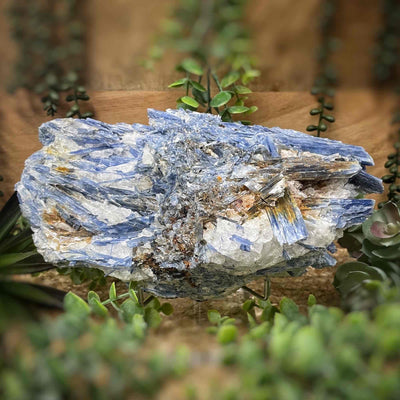 Blue Kyanite - Large Collector Piece