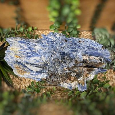 Blue Kyanite - Large Collector Piece