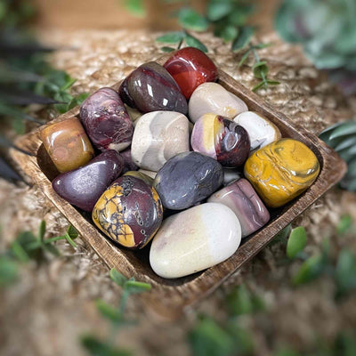 Mookaite - 0.5 - 1.5" - Tumbled