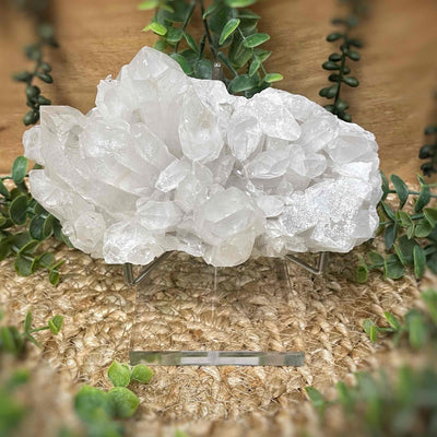 Stand - Lg Acrylic Specimen