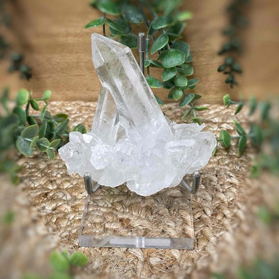 Stand - Sm Acrylic Specimen