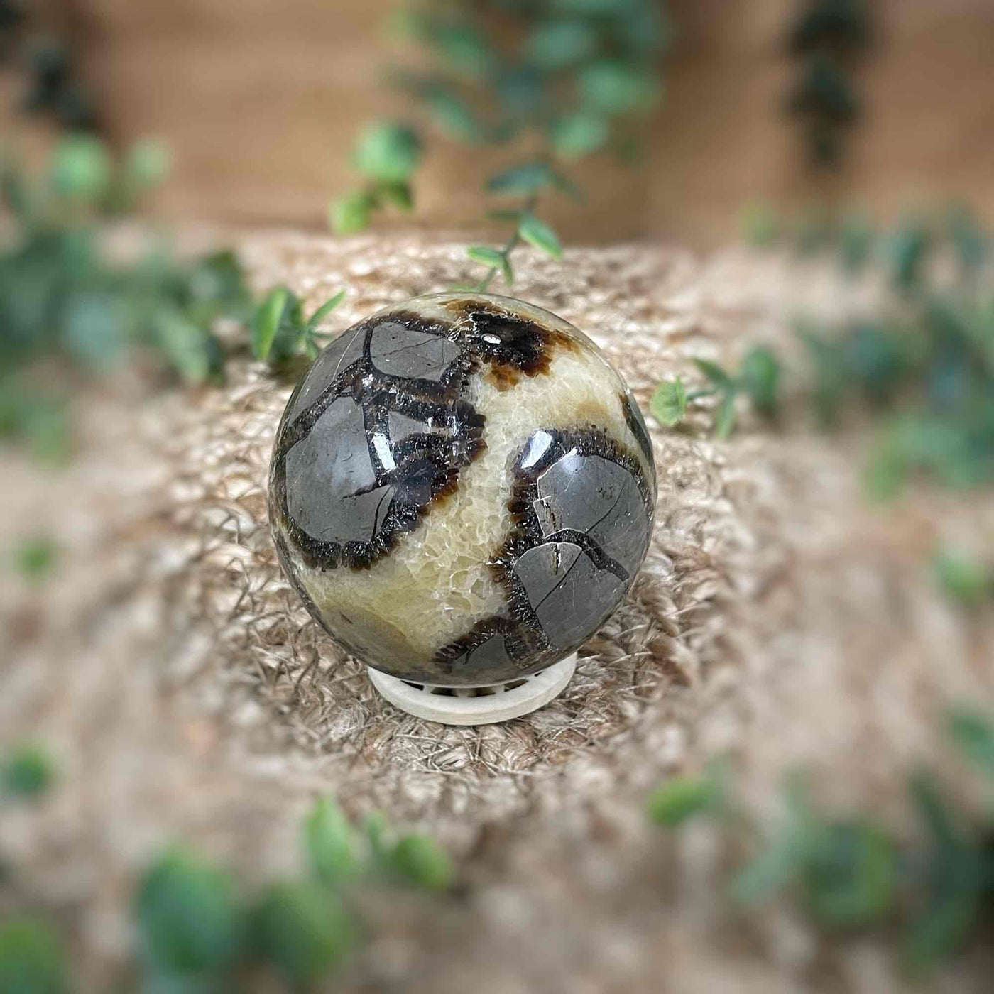 Wooden Sphere Stand - Sm