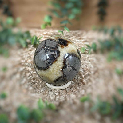 Wooden Sphere Stand - Sm