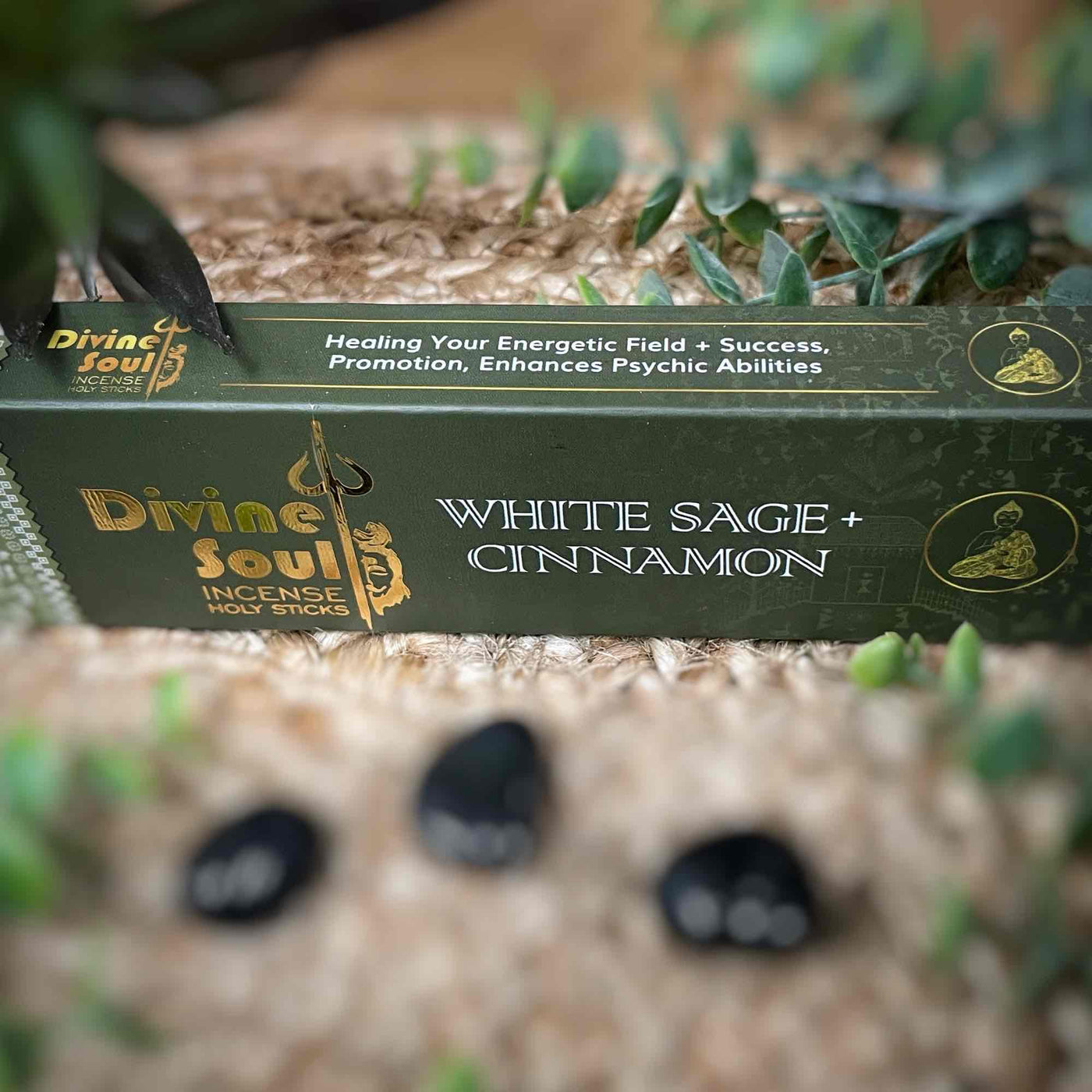 White Sage + Cinnamon - Divine Soul - Incense
