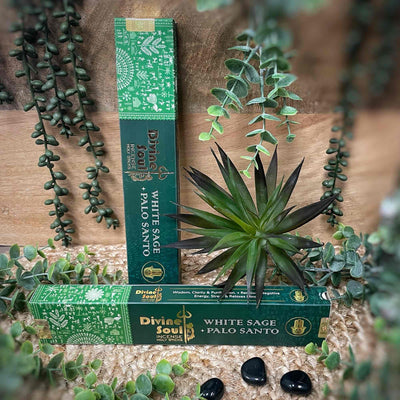 White Sage + Palo Santo - Divine Soul - Incense