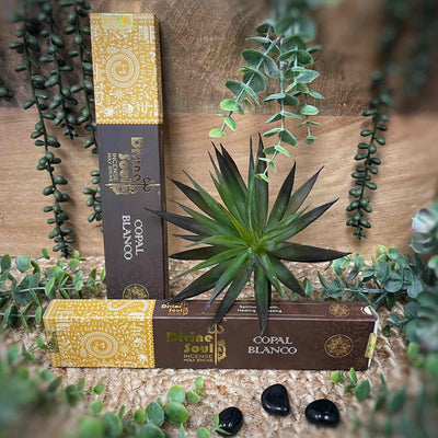 Copal Blanco - Divine Soul Incense