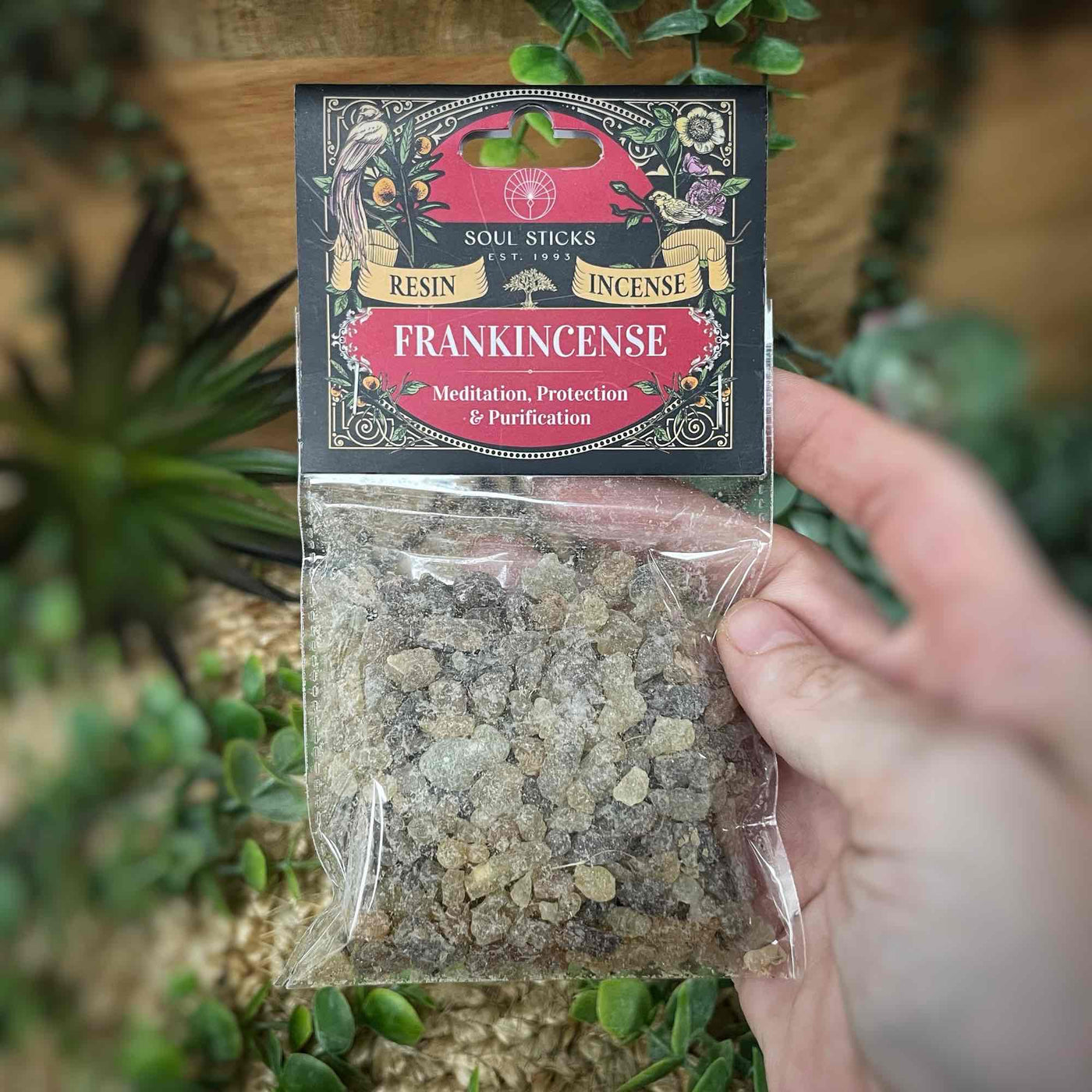 Frankincense Resin Incense Pack (1 oz.)
