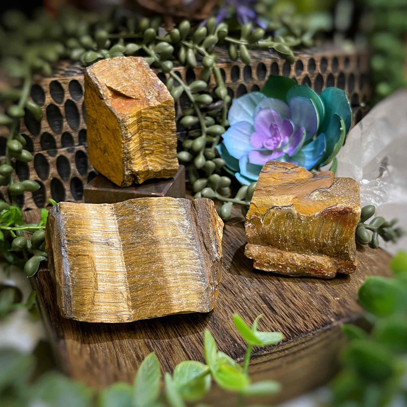 Tiger Eye - Raw Large