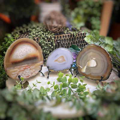 Agate Slices - Small -  Natural