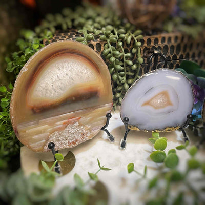 Agate Slices - Small -  Natural