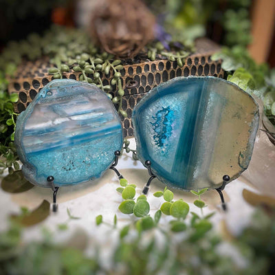 Agate Slices - Small -  TealDyed