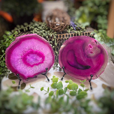 Agate Slices - Small -  PinkDyed