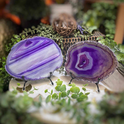Agate Slices - Small - Purple Dyed