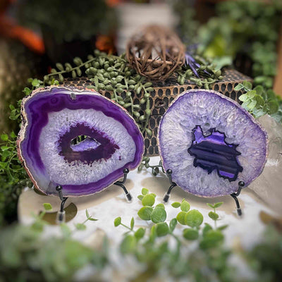 Agate Slices - Small - Purple Dyed