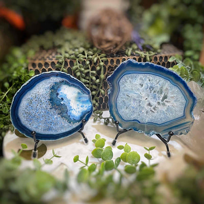 Agate Slices - Small -  BlueDyed