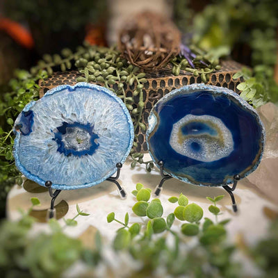 Agate Slices - Small -  BlueDyed