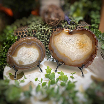Agate Slices - Medium -  Natural