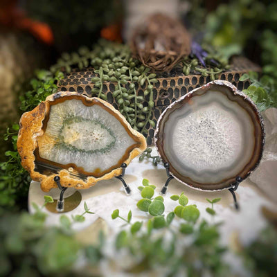 Agate Slices - Medium -  Natural