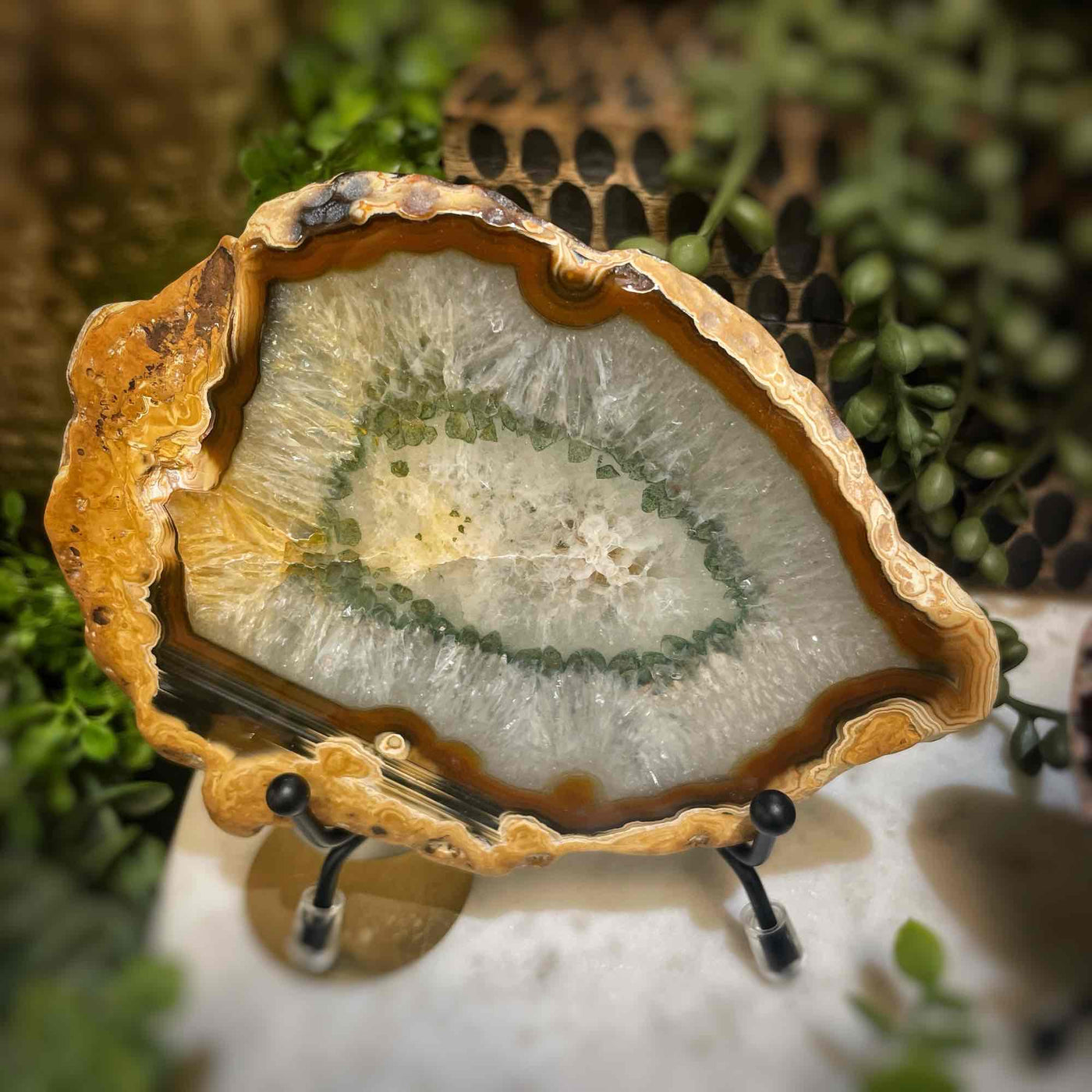 Agate Slices - Medium -  Natural