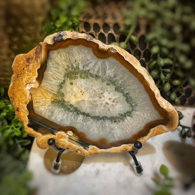 Agate Slices - Medium -  Natural