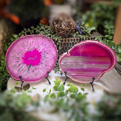 Agate Slices - Medium -  PinkDyed