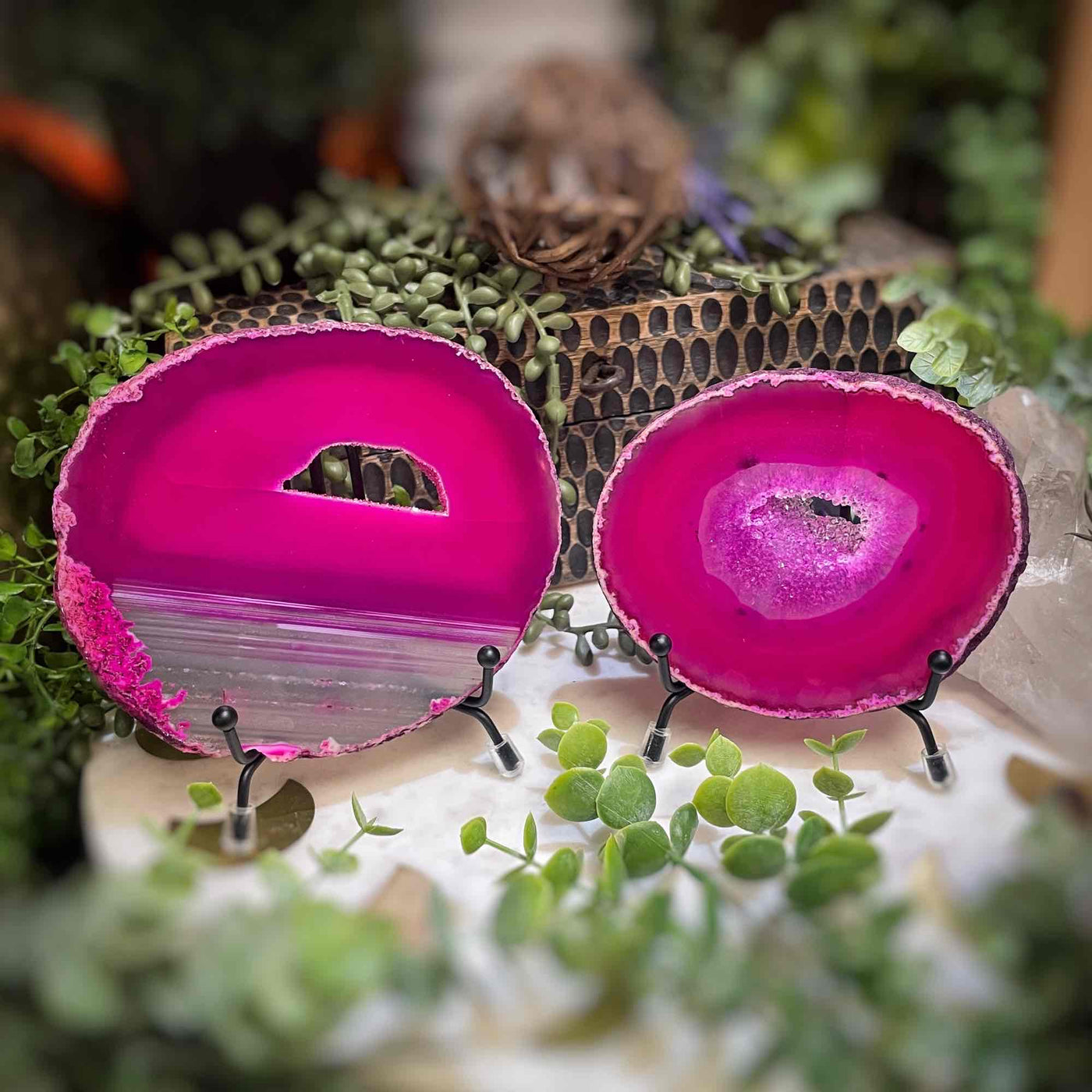 Agate Slices - Medium -  PinkDyed