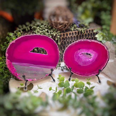 Agate Slices - Medium -  PinkDyed