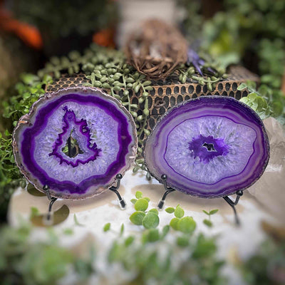 Agate Slices - Medium -  PurpleDyed