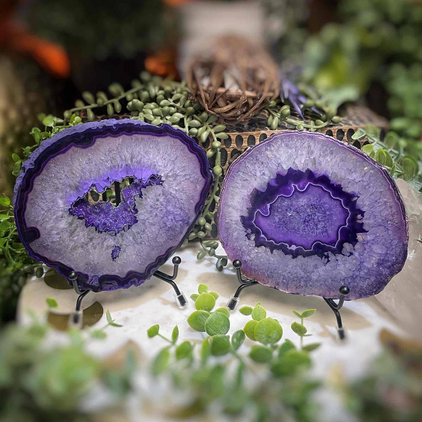 Agate Slices - Medium -  PurpleDyed