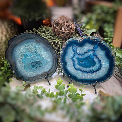 Agate Slices - Medium -  TealDyed