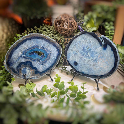 Agate Slices - Medium -  BlueDyed