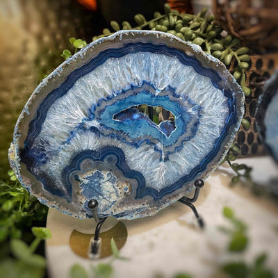 Agate Slices - Medium -  BlueDyed