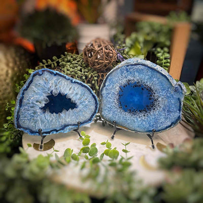 Agate Slices - Medium -  BlueDyed