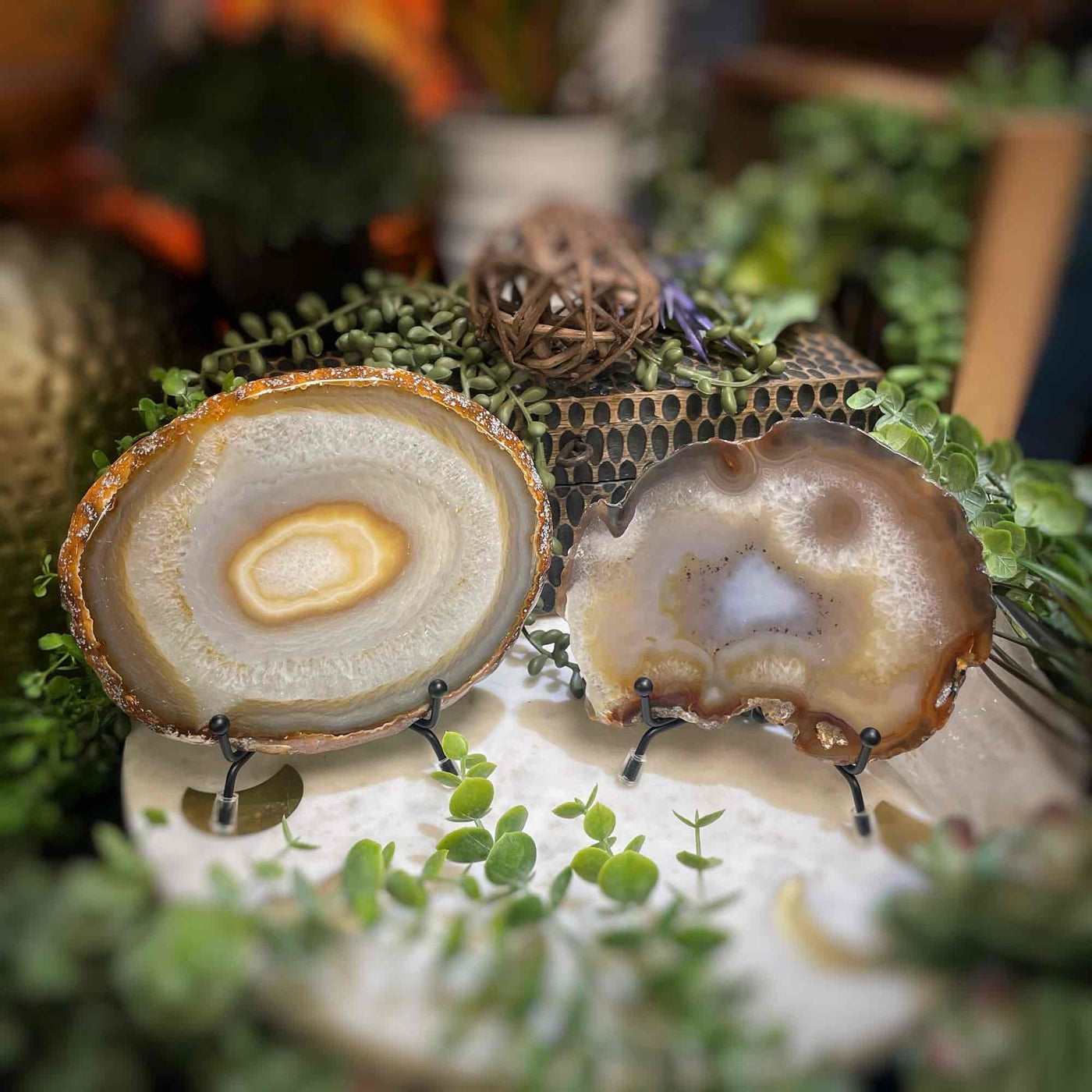 Agate Slices - Large - Natural