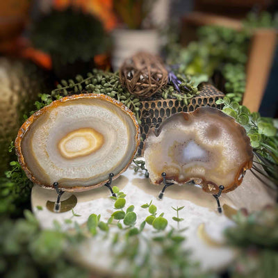 Agate Slices - Large - Natural