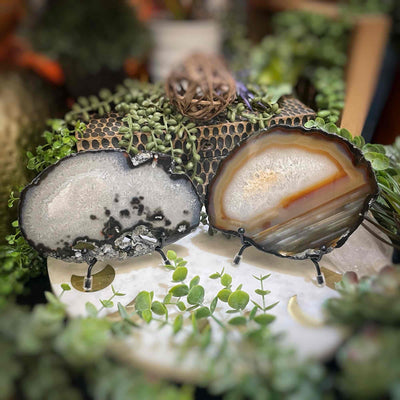 Agate Slices - Large - Natural