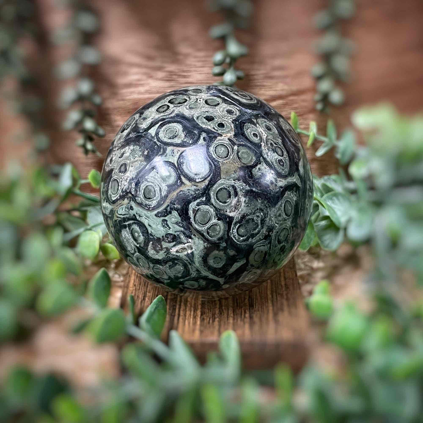 Kambamba Jasper - Sphere