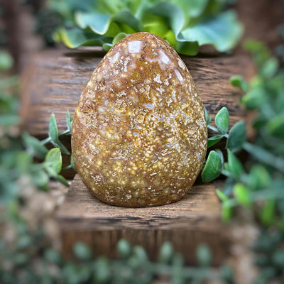 Ocean Jasper - Freeform