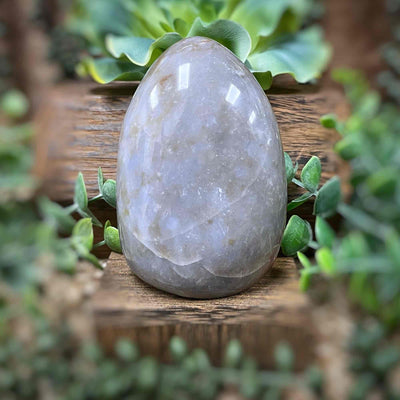 Ocean Jasper - Freeform