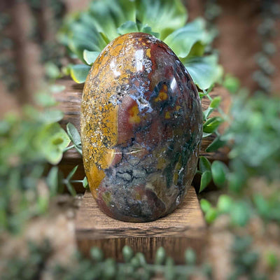 Ocean Jasper - Freeform