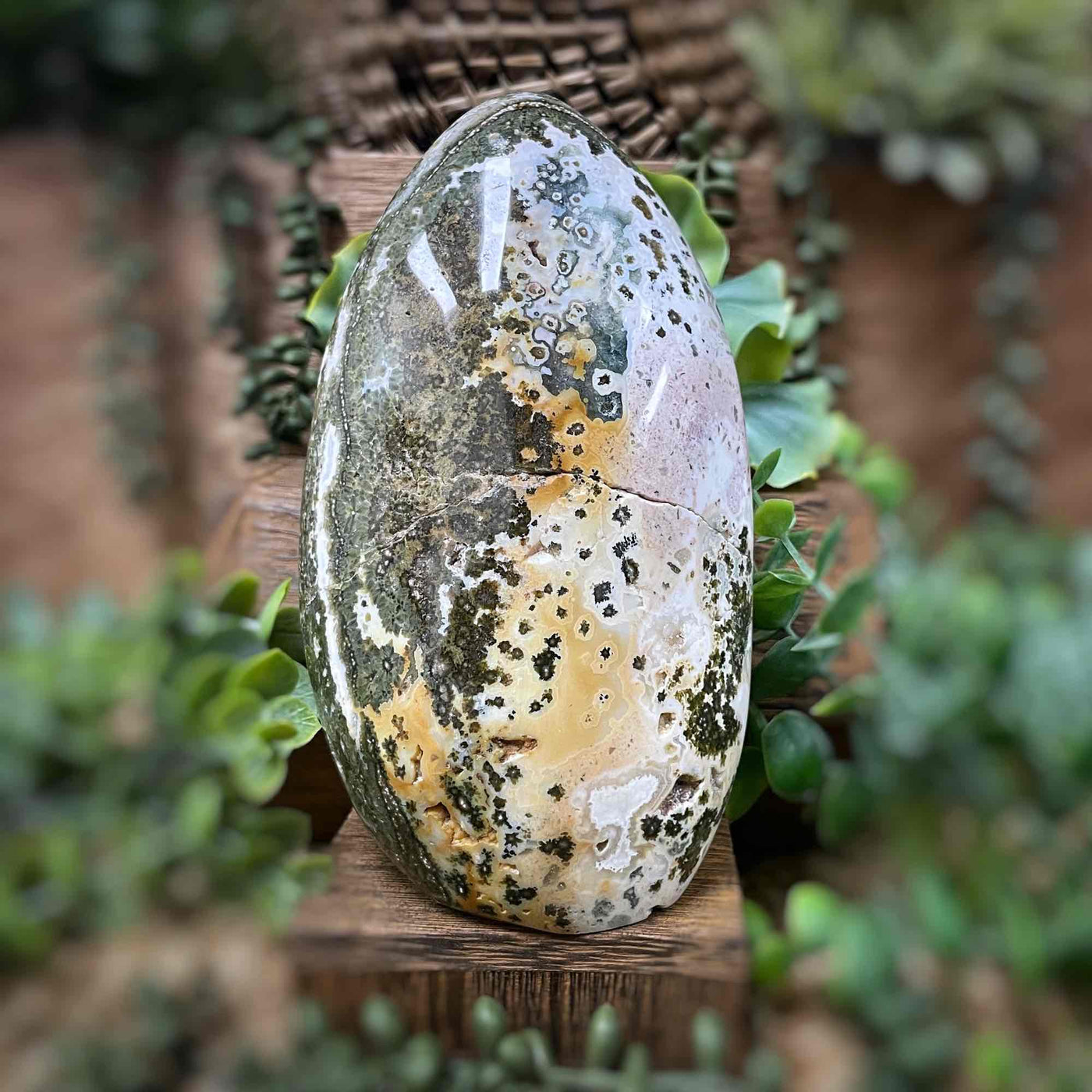 Ocean Jasper - Freeform