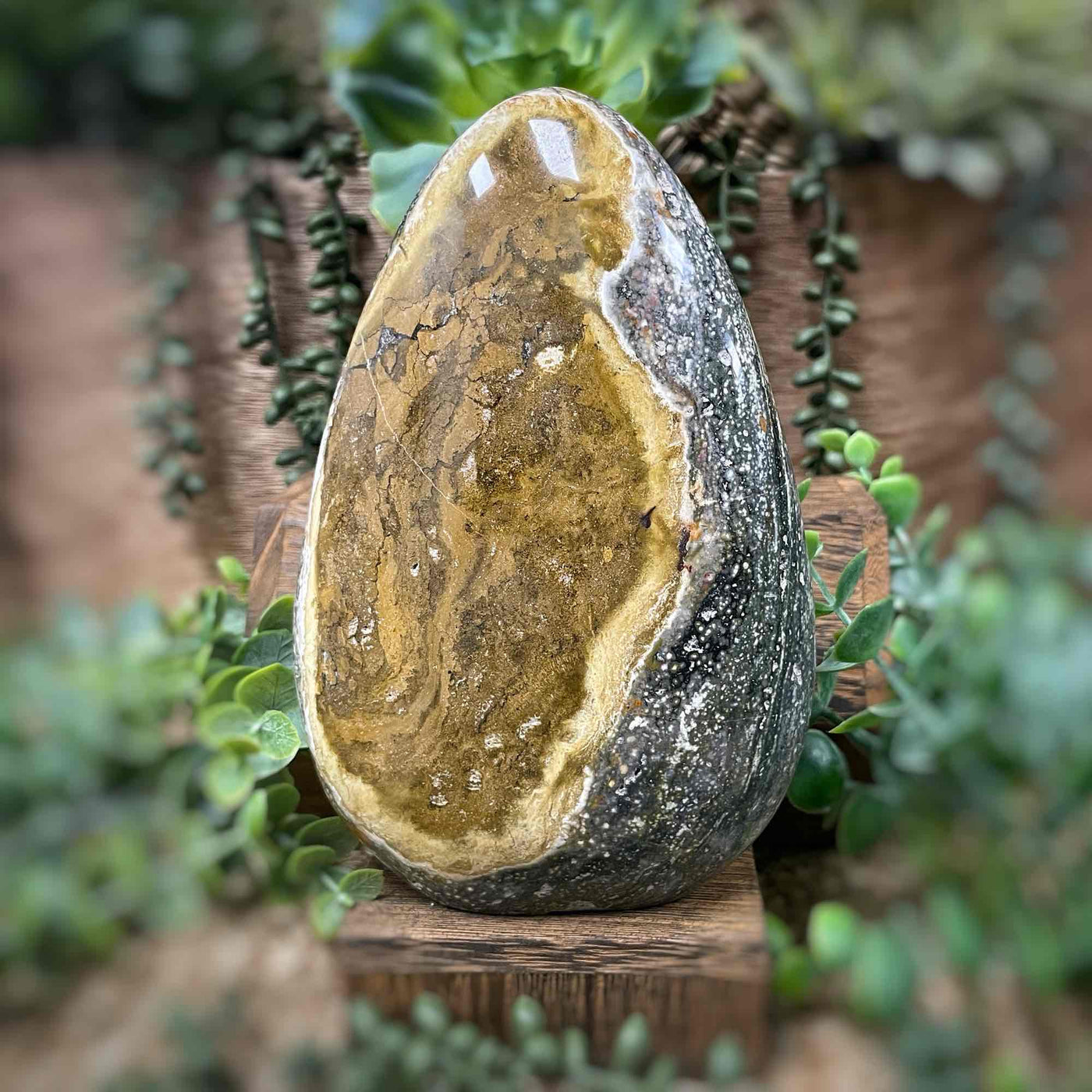 Ocean Jasper - Freeform