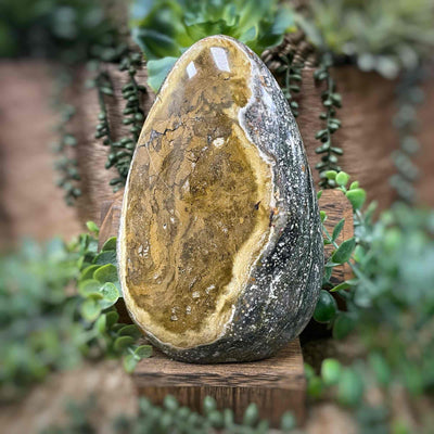 Ocean Jasper - Freeform