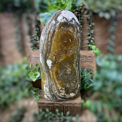 Ocean Jasper - Freeform