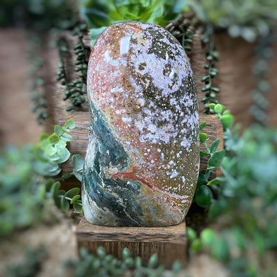 Ocean Jasper - Freeform