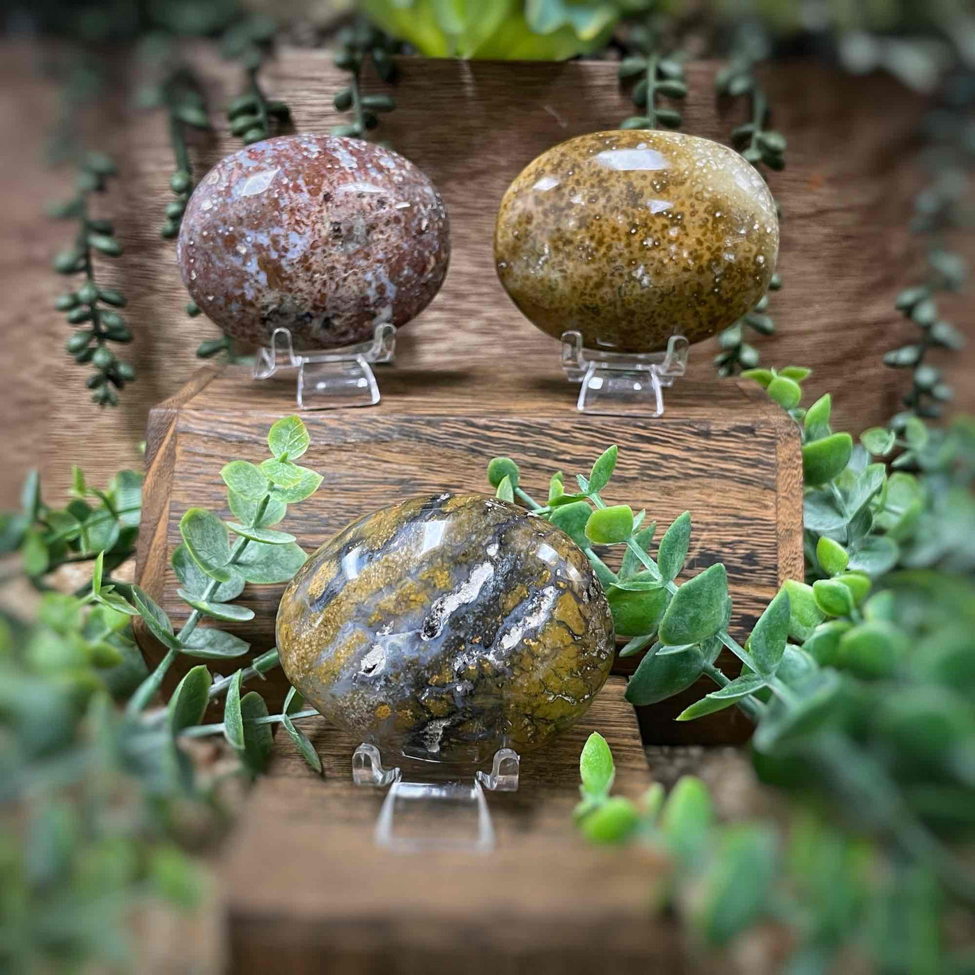 Ocean Jasper - Palm Stone