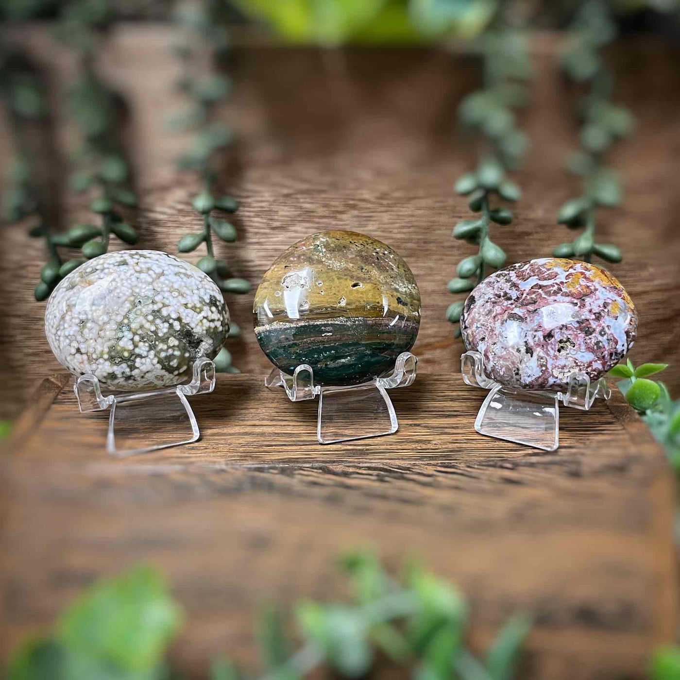 Ocean Jasper - Palm Stone